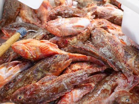 Jak Vybrat Nejlepší Online Prodejce Masa a Ryb? Průvodce 2023